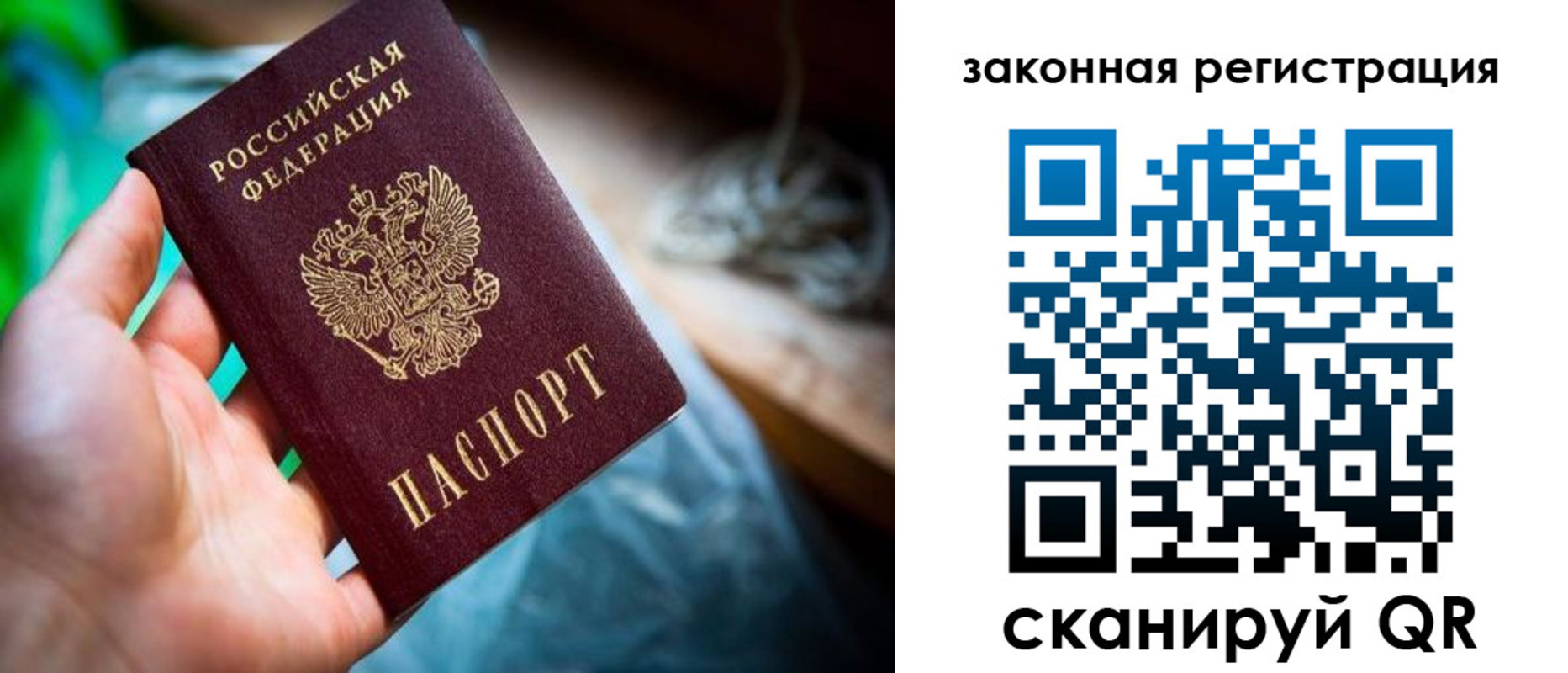 прописка в Ипатово